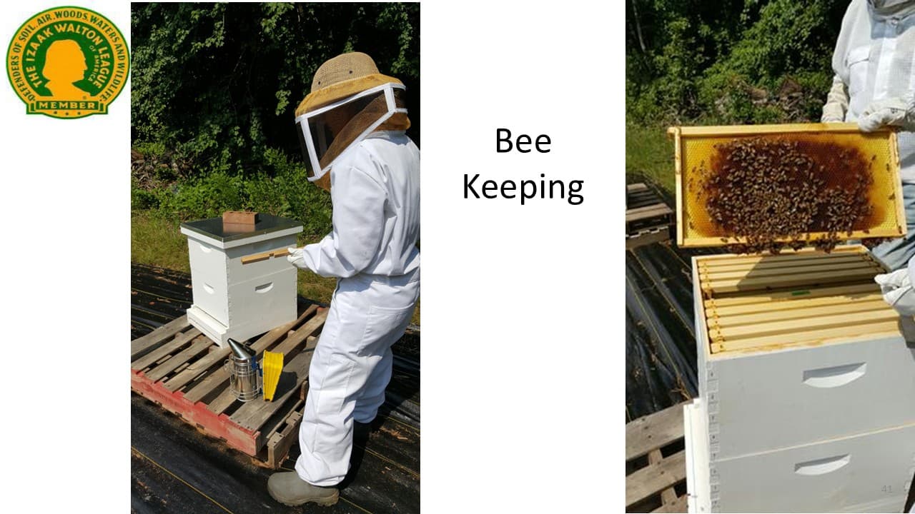 Chapter slideshow image 23