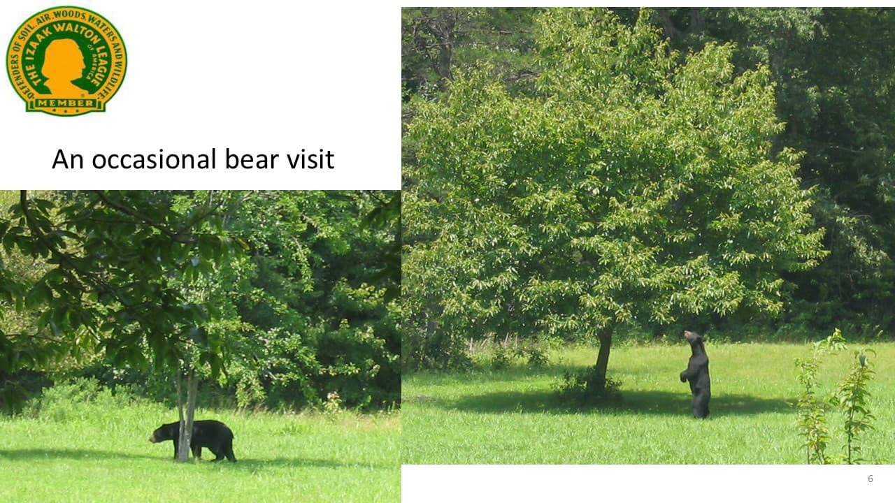 Chapter slideshow image 12